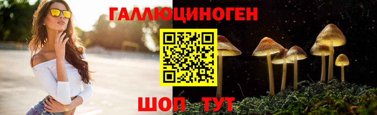 Псилоцибиновые грибы мухоморы  наркота  Северск  Вход с VPN 