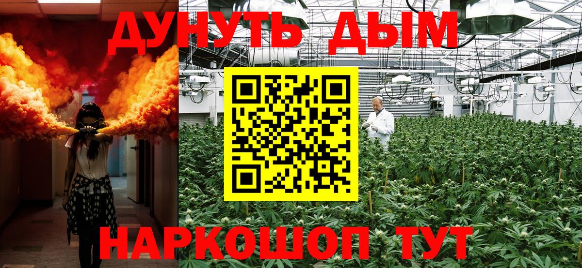 Конопля план Северск